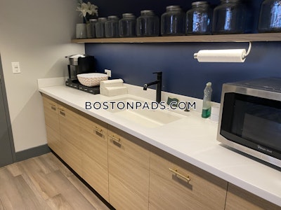 Allston Apartment for rent 1 Bedroom 1 Bath Boston - $2,880