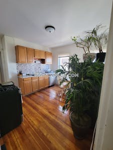 Dorchester Apartment for rent 3 Bedrooms 1 Bath Boston - $3,100
