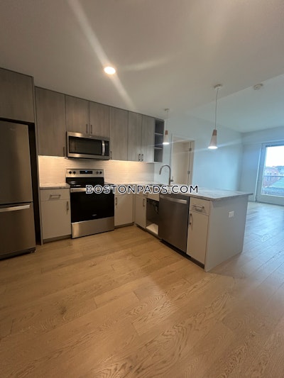 Allston Apartment for rent 2 Bedrooms 2 Baths Boston - $4,975 No Fee