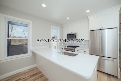 Brookline 2 bedroom 1 baths in BROOKLINE  Chestnut Hill - $3,700