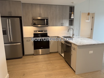Allston 2 bedroom 2 baths in BOSTON Boston - $5,200