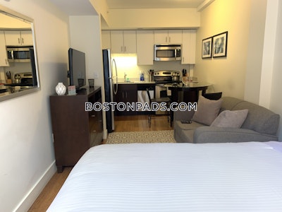 Downtown Apartment for rent Studio 1 Bath Boston - $2,725 No Fee