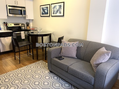 Downtown Apartment for rent Studio 1 Bath Boston - $2,750
