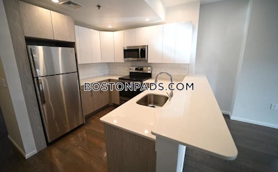 Brookline Apartment for rent 3 Bedrooms 2 Baths  Coolidge Corner - $5,500