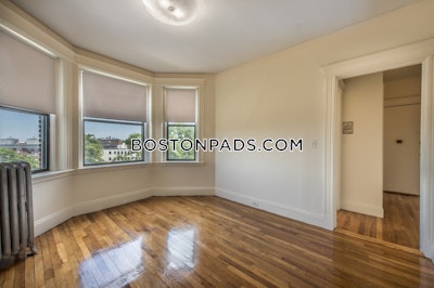 Allston Apartment for rent 1 Bedroom 1 Bath Boston - $2,675