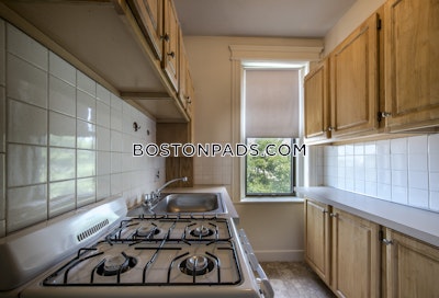 Allston Apartment for rent Studio 1 Bath Boston - $2,500