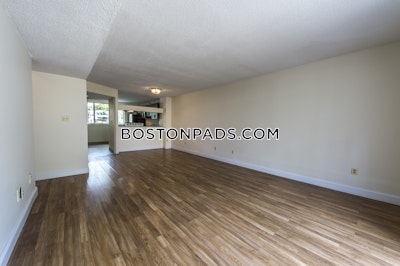 Brighton Apartment for rent 2 Bedrooms 1.5 Baths Boston - $3,450