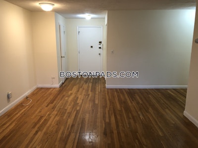 Allston/brighton Border Apartment for rent 1 Bedroom 1 Bath Boston - $2,600