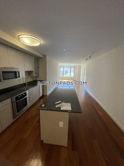 West End Apartment for rent 1 Bedroom 1 Bath Boston - $3,850