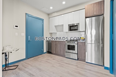 Dorchester/south Boston Border 2 bedroom 2 baths in BOSTON Boston - $3,350