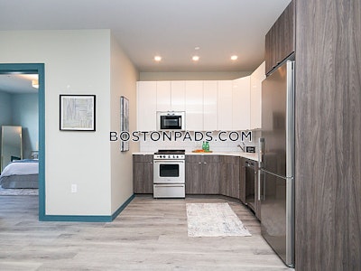 Dorchester/south Boston Border 2 bedroom 2 baths in BOSTON Boston - $3,450
