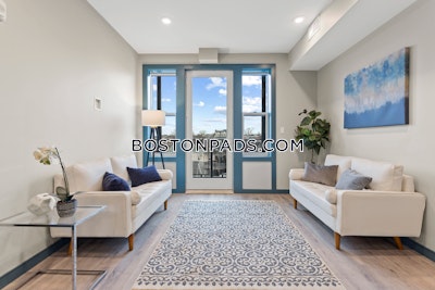 Dorchester/south Boston Border 2 bedroom 2 baths in BOSTON Boston - $3,475