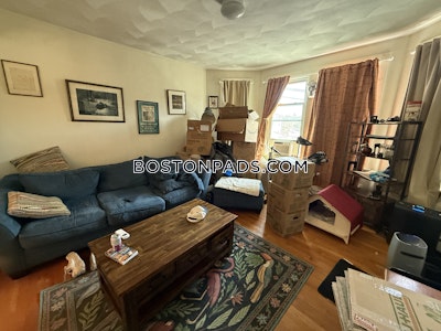 Brighton Apartment for rent 1 Bedroom 1 Bath Boston - $2,250