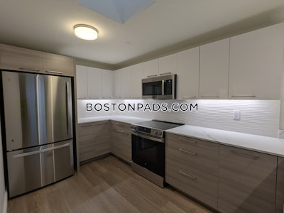 Allston Apartment for rent 2 Bedrooms 2.5 Baths Boston - $5,500 No Fee