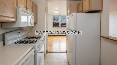 Cambridge Apartment for rent 1 Bedroom 1 Bath  Porter Square - $2,977 No Fee