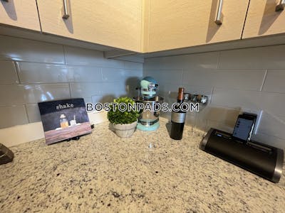 Chinatown Apartment for rent 1 Bedroom 1 Bath Boston - $3,622