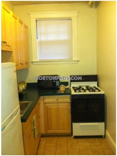 Brighton Apartment for rent Studio 1 Bath Boston - $1,800 No Fee