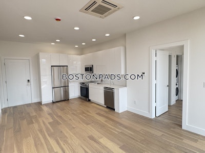 Brighton Apartment for rent 1 Bedroom 1 Bath Boston - $3,600 No Fee