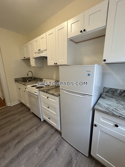 Allston/brighton Border Apartment for rent 1 Bedroom 1 Bath Boston - $2,700