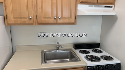 Cambridge Apartment for rent Studio 1 Bath  Mt. Auburn/brattle/ Fresh Pond - $2,400