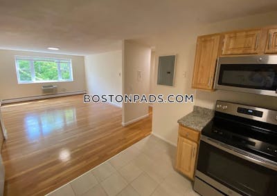 Brookline Apartment for rent 2 Bedrooms 1 Bath  Coolidge Corner - $3,500 No Fee