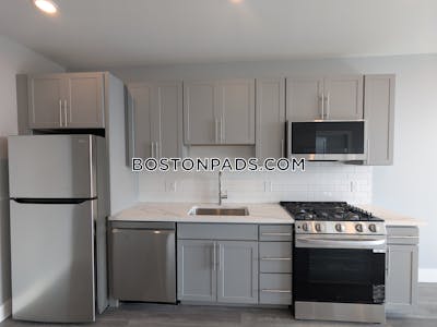 Brighton Apartment for rent 1 Bedroom 1 Bath Boston - $3,500 No Fee