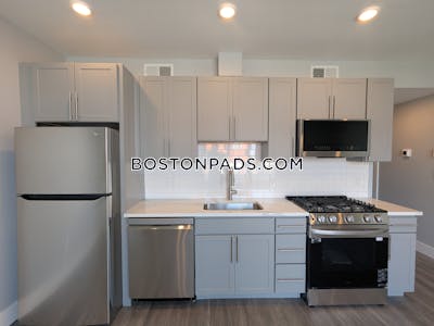 Brighton Apartment for rent 1 Bedroom 1 Bath Boston - $3,500 No Fee