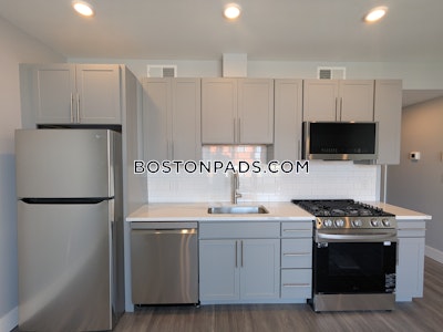 Brighton Apartment for rent 1 Bedroom 1 Bath Boston - $3,500 No Fee