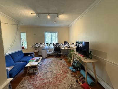 Mission Hill Apartment for rent 1 Bedroom 1 Bath Boston - $2,250 No Fee