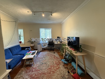 Mission Hill Apartment for rent 1 Bedroom 1 Bath Boston - $2,250 No Fee