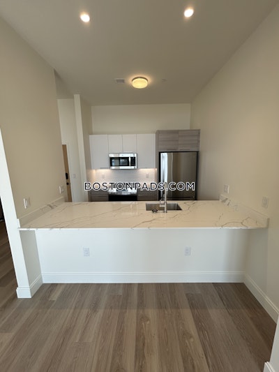 Allston Apartment for rent 1 Bedroom 1 Bath Boston - $3,400 No Fee