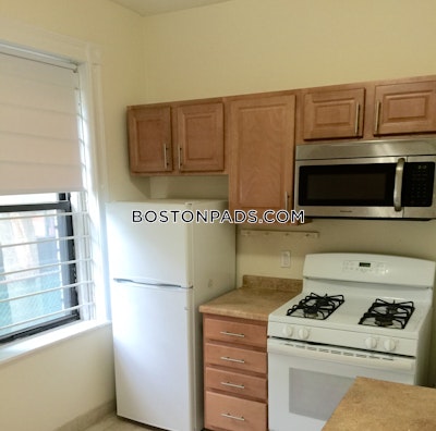 Allston/brighton Border 1 Bed 1 Bath BOSTON Boston - $2,550 No Fee