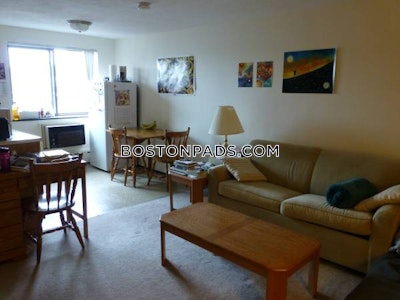 Cambridge Apartment for rent Studio 1 Bath  Porter Square - $2,400