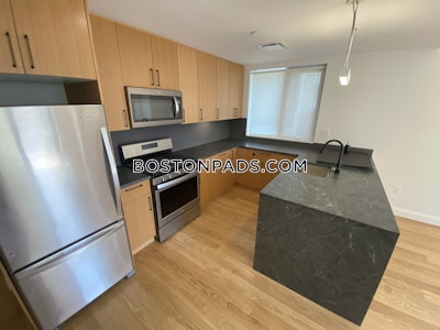Allston Beautiful 2 bed 2 bath on Gardner Boston - $5,100