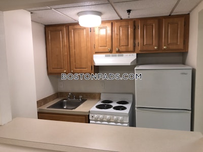 Chinatown Apartment for rent 1 Bedroom 1 Bath Boston - $2,975