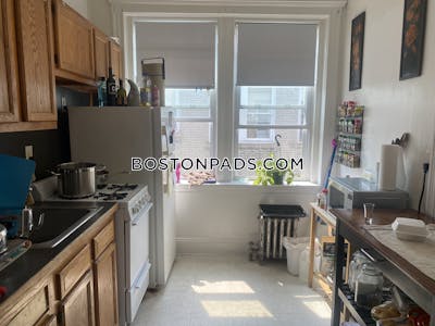 Brighton Apartment for rent 1 Bedroom 1 Bath Boston - $2,475 No Fee