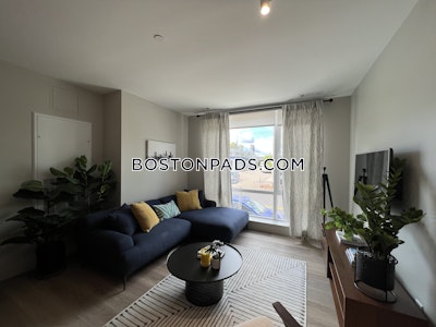 Brighton Apartment for rent 1 Bedroom 1 Bath Boston - $2,708