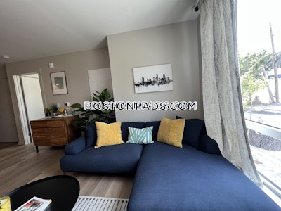 Brighton Apartment for rent Studio 1 Bath Boston - $2,892