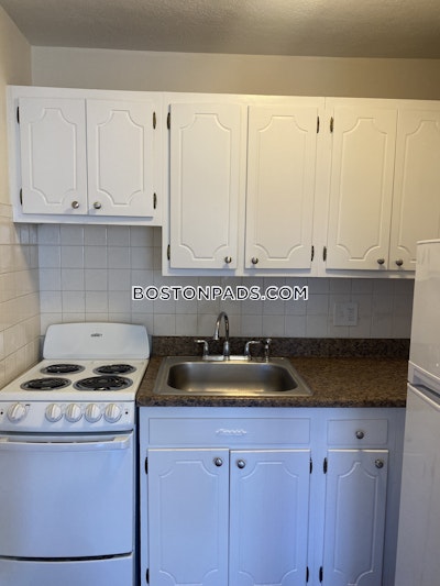 Allston/brighton Border Apartment for rent 1 Bedroom 1 Bath Boston - $2,500 No Fee