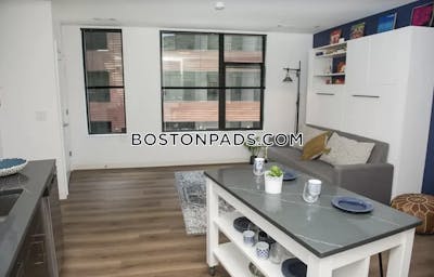 Allston Studio No Bath Boston - $2,875 No Fee