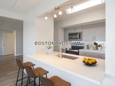 Brighton Apartment for rent 1 Bedroom 1 Bath Boston - $3,225
