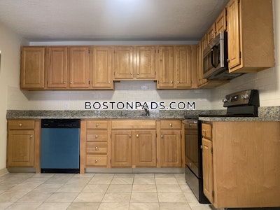 Brookline Apartment for rent 2 Bedrooms 1 Bath  Boston University - $3,600 No Fee