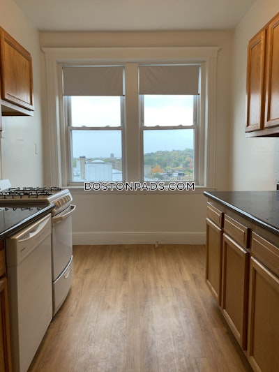 Brighton Apartment for rent 1 Bedroom 1 Bath Boston - $2,295 No Fee