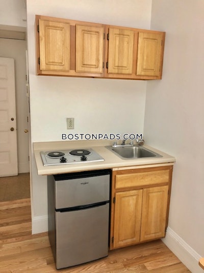 Brookline Apartment for rent Studio 1 Bath  Boston University - $2,095 No Fee