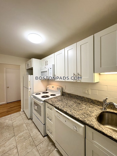 Allston/brighton Border Apartment for rent 1 Bedroom 1 Bath Boston - $2,350 No Fee