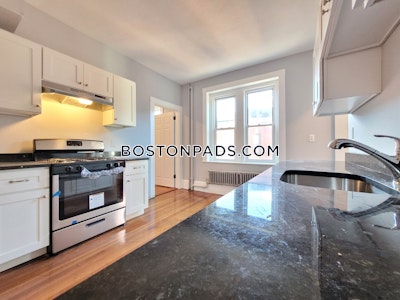 Roxbury Apartment for rent 4 Bedrooms 1 Bath Boston - $3,550