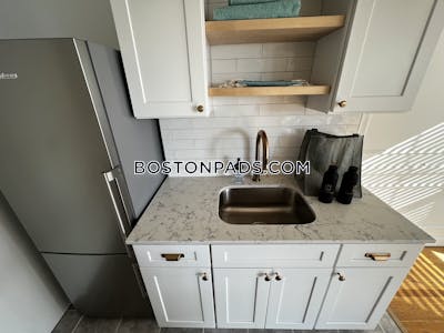 Brookline Apartment for rent 1 Bedroom 1 Bath  Coolidge Corner - $3,296 No Fee
