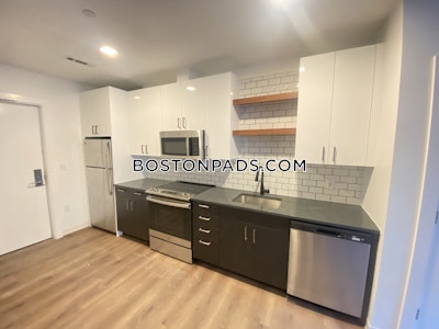 Allston Apartment for rent 2 Bedrooms 2 Baths Boston - $4,175 No Fee